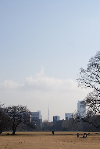 新宿御苑から東京タワーが見えるんだ！_f0159291_0453033.jpg