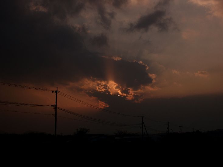 c0136092_22141.jpg