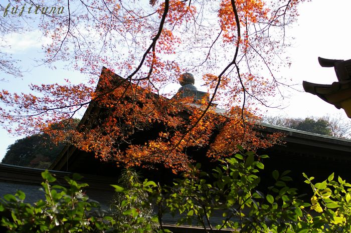 鎌倉　瑞泉寺へ 私の２００８最後の紅葉　6_b0151409_21534353.jpg