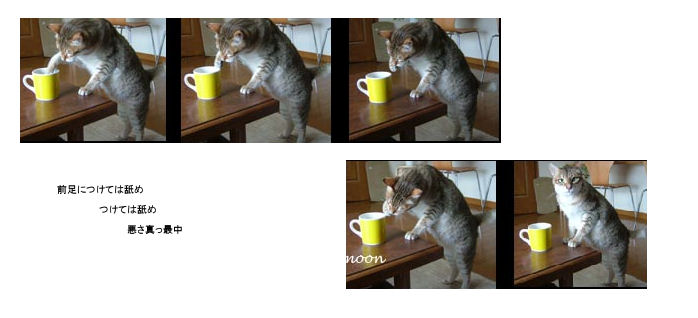 neko memo 18 / memory1996~2008_f0177409_15113977.jpg