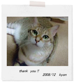 neko memo 18 / memory1996~2008_f0177409_2142947.jpg