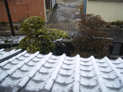 c0143711_14291187.gif