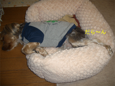 c0143711_14333836.gif