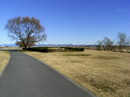 f0108112_19595494.jpg