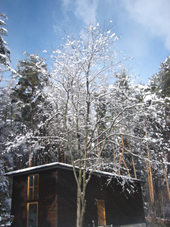 c0154713_9171392.jpg