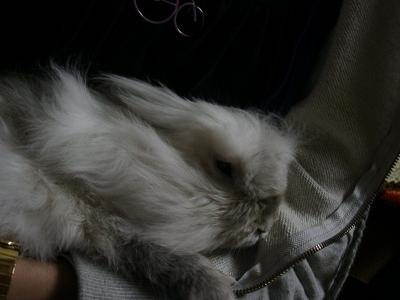 c0164514_20111056.jpg