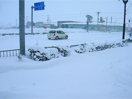 豪雪につき_f0130024_15495761.jpg