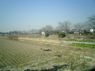 f0120329_165314.jpg