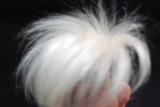 c0136838_2038167.gif