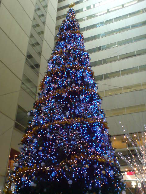 a0046339_21331227.jpg