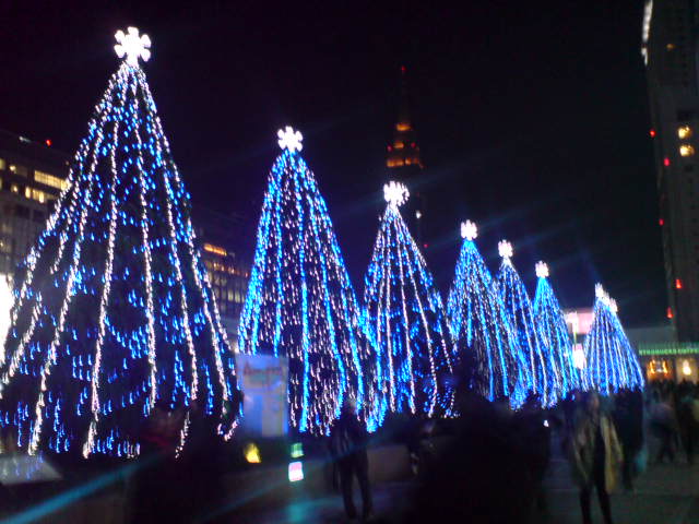 a0046339_21333584.jpg