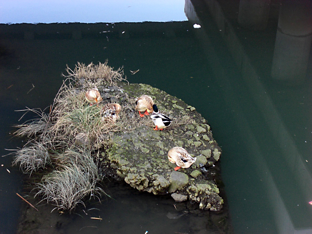 f0031546_20445959.jpg