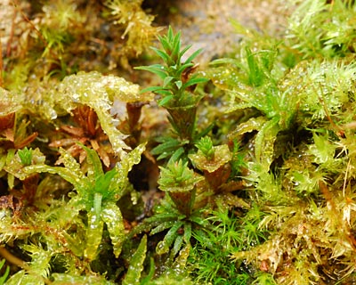 e0035757_17152098.jpg