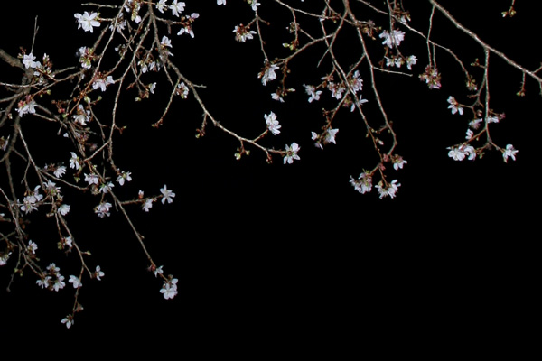 f0147858_206489.jpg
