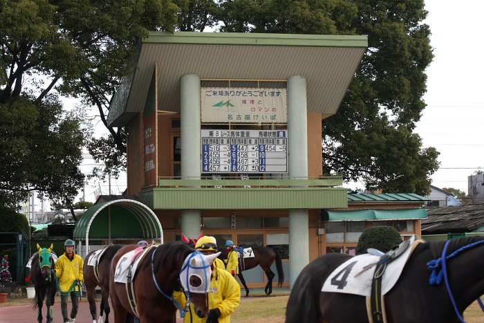 2008年12月23日（火） 名古屋競馬 8R キリンビールカップ パドック_a0077663_16352076.jpg