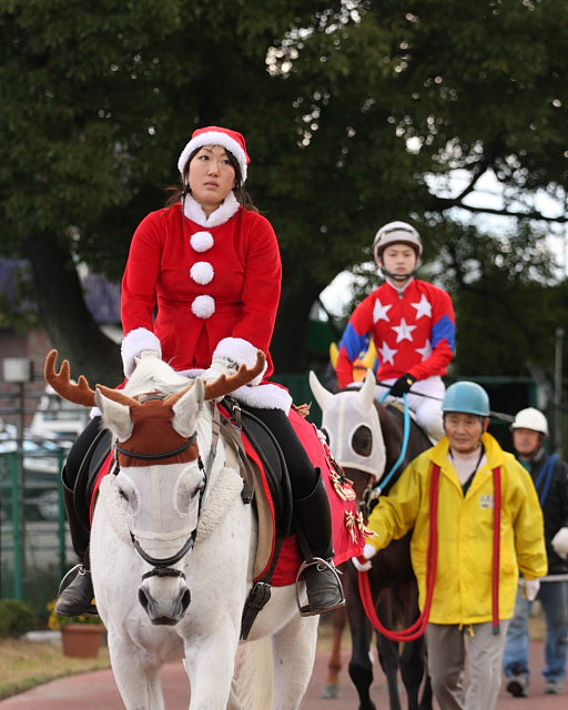 2008年12月23日（火） 名古屋競馬 8R キリンビールカップ パドック_a0077663_16354942.jpg