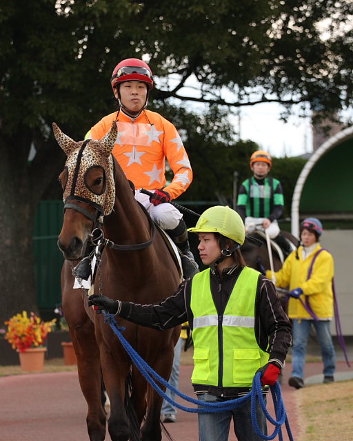 2008年12月23日（火） 名古屋競馬 8R キリンビールカップ パドック_a0077663_16361895.jpg