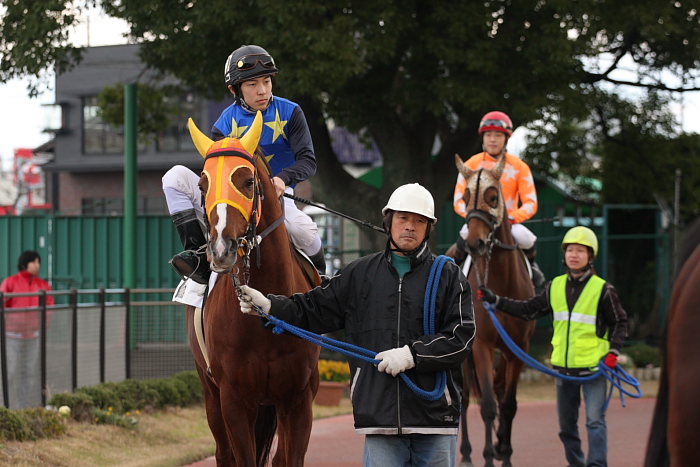 2008年12月23日（火） 名古屋競馬 8R キリンビールカップ パドック_a0077663_1636883.jpg