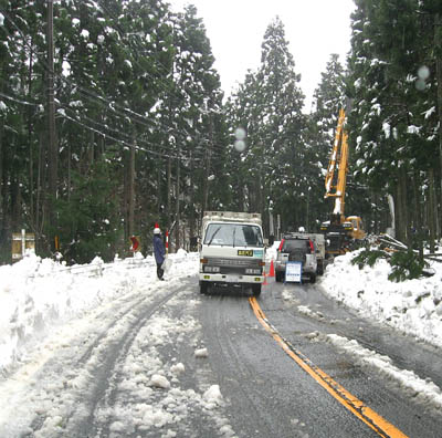 雪とのたたかい_f0077877_2121294.jpg