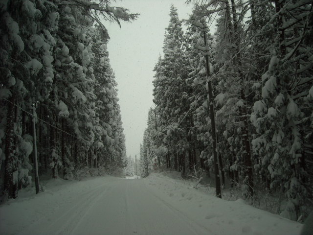 猛吹雪_b0134278_1411588.jpg