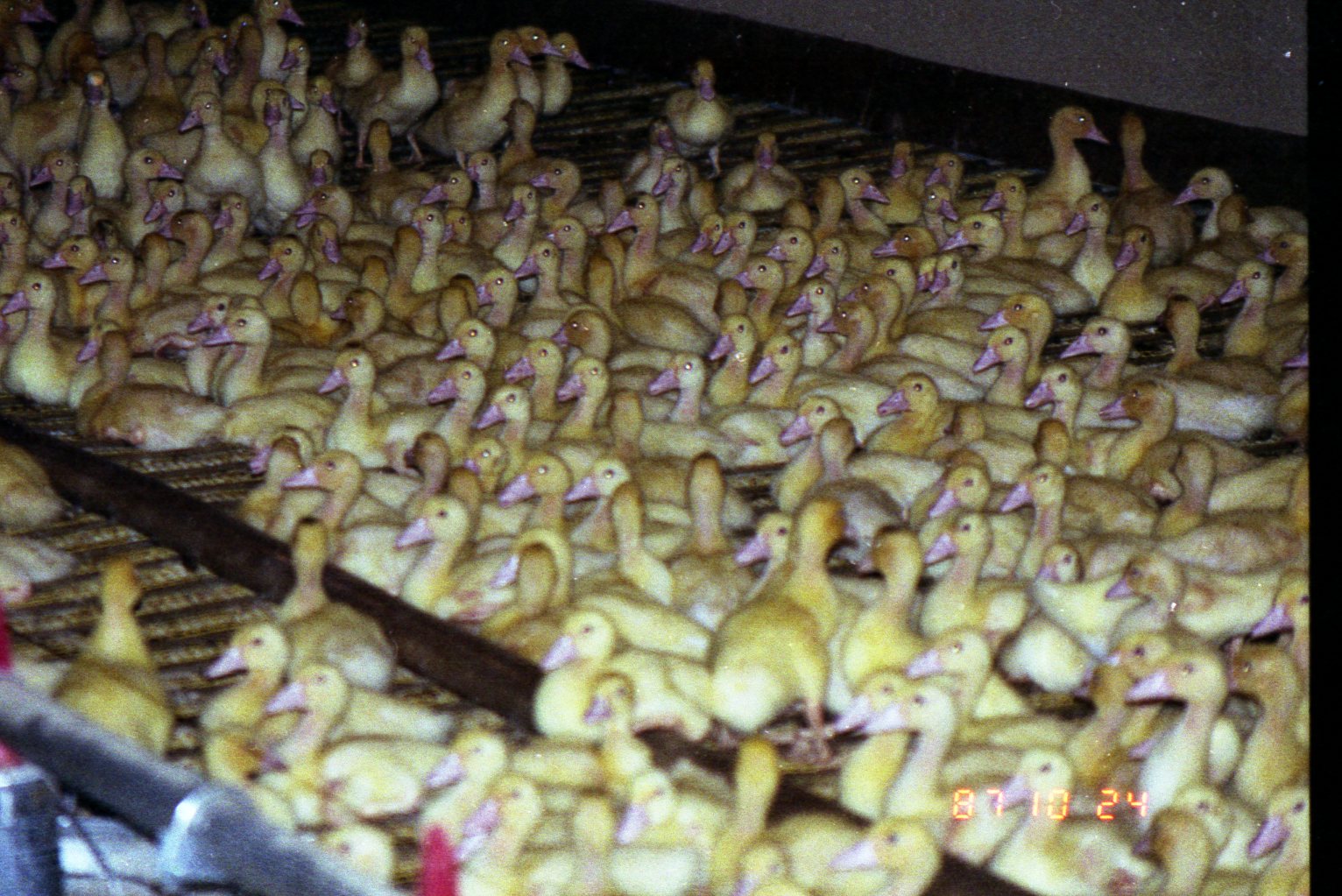 c0077280_13504650.jpg