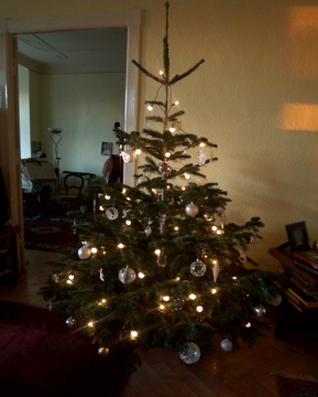 c0180686_95615.jpg