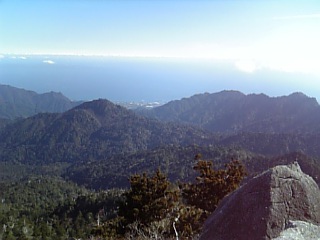 b0050104_1672637.jpg