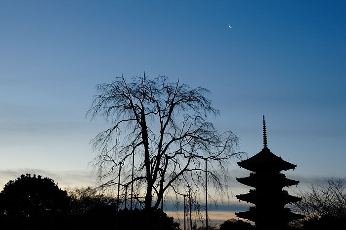 夜明けの東寺_f0032011_18223023.jpg