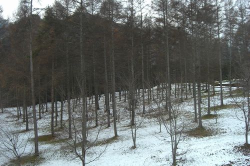 b0131012_14393986.jpg