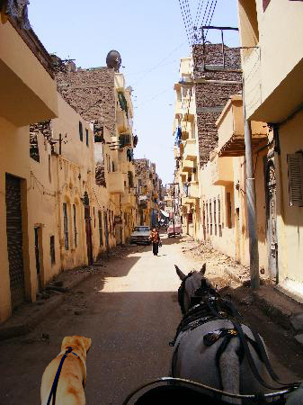 f0191413_1910355.jpg