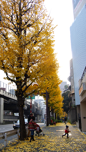 December in Tokyo 1_f0164920_216879.jpg