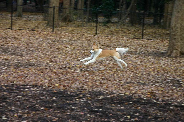 ♥　幸せ画像が沢山です　♥_b0077923_19203648.jpg