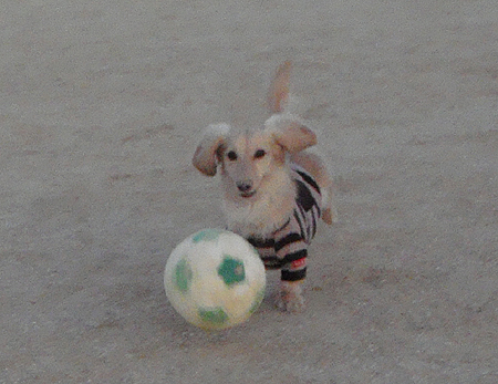 c0117831_1941024.jpg