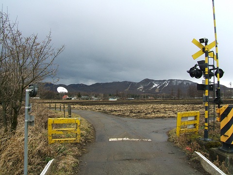 e0089232_8324153.jpg