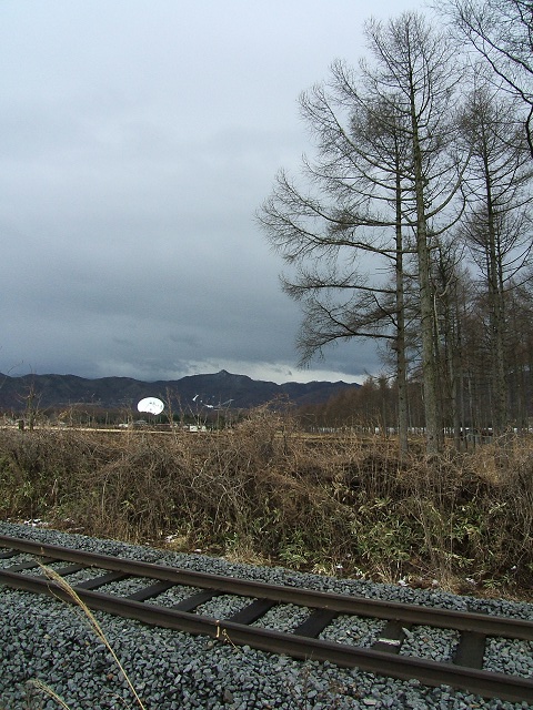 e0089232_8364176.jpg