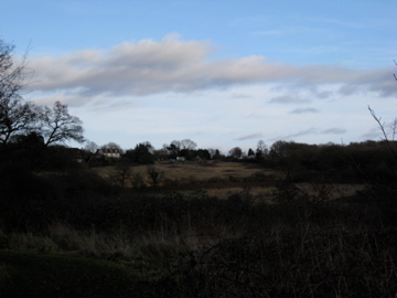 c0142944_8563731.jpg