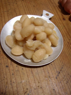 a0068350_3443848.jpg