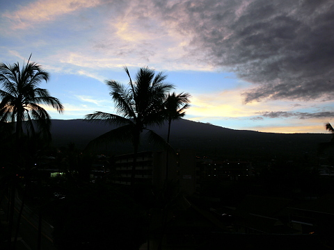 e0050753_88504.jpg