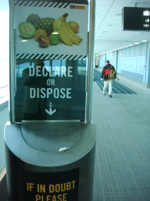 f0036857_1365857.jpg