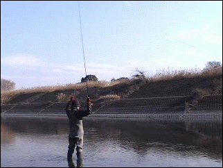 f0084561_14255393.gif