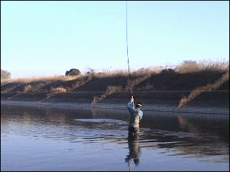 f0084561_14262984.gif