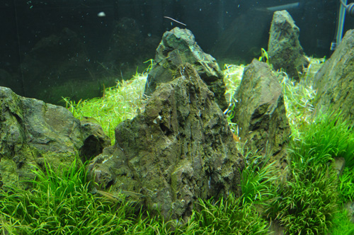 d0055262_6411527.jpg