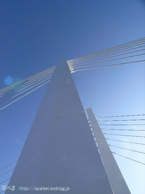 c0153764_13345494.jpg
