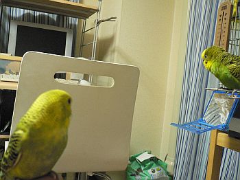 f0196665_22452313.jpg