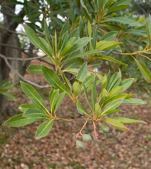 c0002682_13345667.jpg