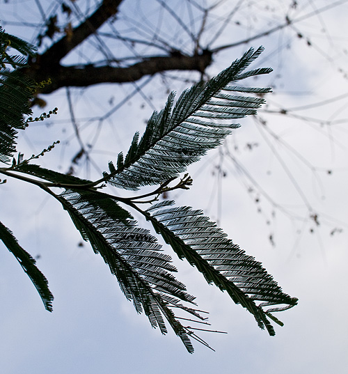 c0002682_13424387.jpg