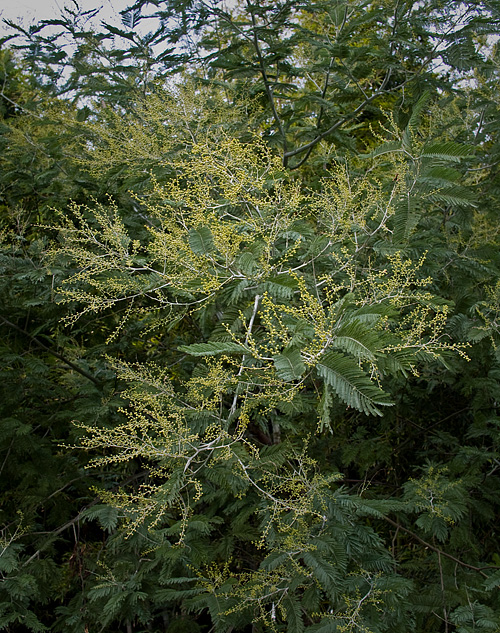 c0002682_13475432.jpg