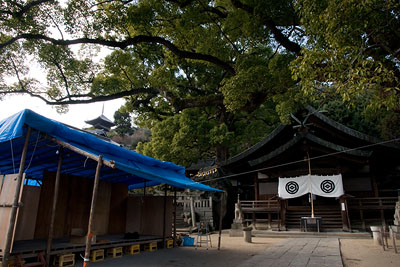 d0142891_20412487.jpg