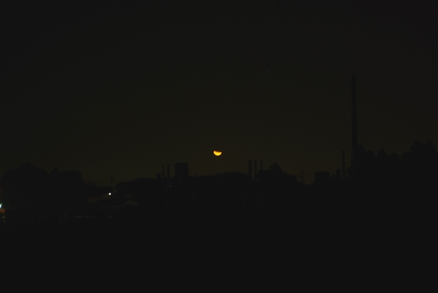 c0156908_083166.jpg