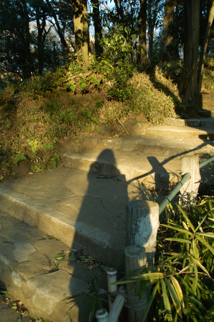 b0137311_15553893.jpg